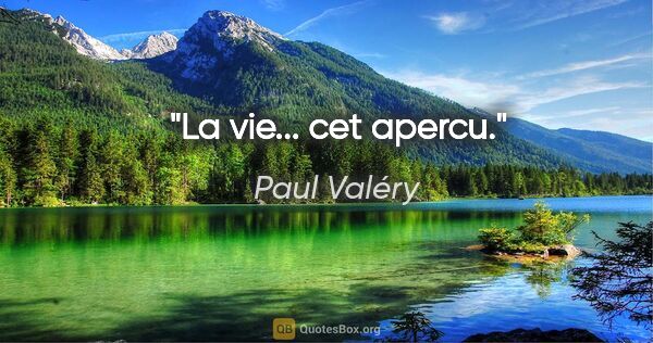 Paul Valéry citation: "La vie... cet apercu."