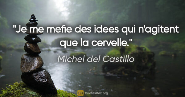 Michel del Castillo citation: "Je me mefie des idees qui n'agitent que la cervelle."