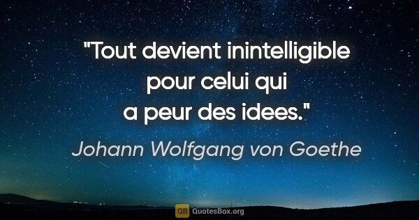 Johann Wolfgang von Goethe citation: "Tout devient inintelligible pour celui qui a peur des idees."