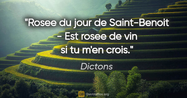 Dictons citation: "Rosee du jour de Saint-Benoit - Est rosee de vin si tu m'en..."