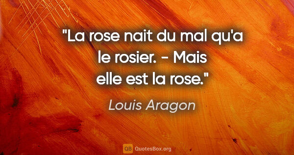 Louis Aragon citation: "La rose nait du mal qu'a le rosier. - Mais elle est la rose."