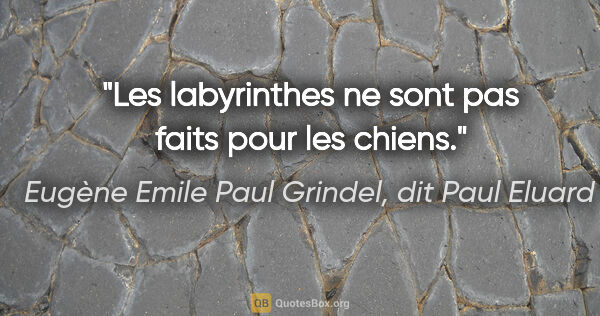 Eugène Emile Paul Grindel, dit Paul Eluard citation: "Les labyrinthes ne sont pas faits pour les chiens."