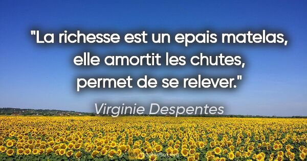 Virginie Despentes citation: "La richesse est un epais matelas, elle amortit les chutes,..."