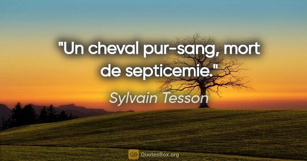Sylvain Tesson citation: "Un cheval pur-sang, mort de septicemie."