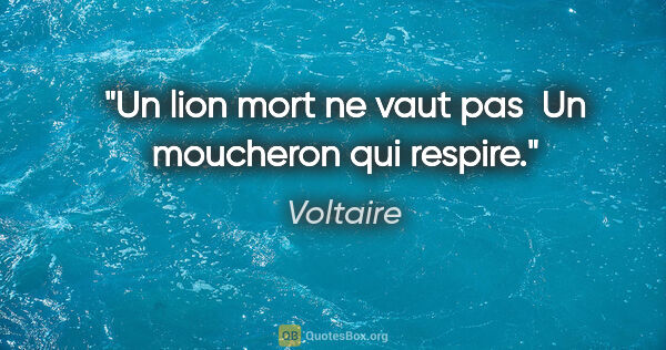 Voltaire citation: "Un lion mort ne vaut pas  Un moucheron qui respire."