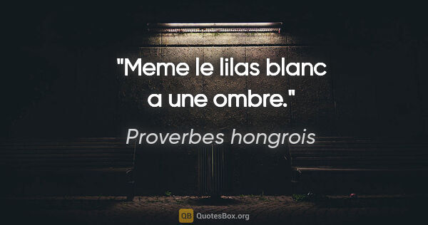 Proverbes hongrois citation: "Meme le lilas blanc a une ombre."