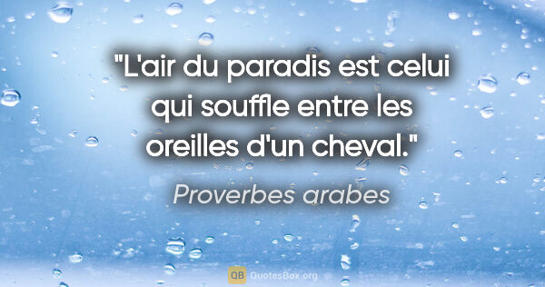 Proverbes arabes citation: "L'air du paradis est celui qui souffle entre les oreilles d'un..."