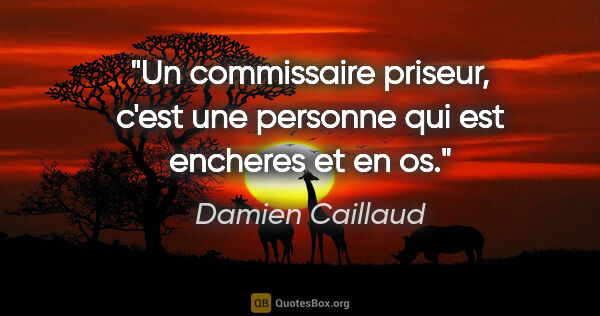 Damien Caillaud citation: "Un commissaire priseur, c'est une personne qui est encheres et..."