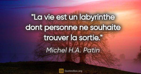 Michel H.A. Patin citation: "La vie est un labyrinthe dont personne ne souhaite trouver la..."