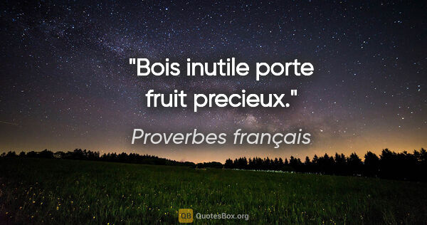 Proverbes français citation: "Bois inutile porte fruit precieux."