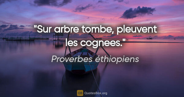 Proverbes éthiopiens citation: "Sur arbre tombe, pleuvent les cognees."