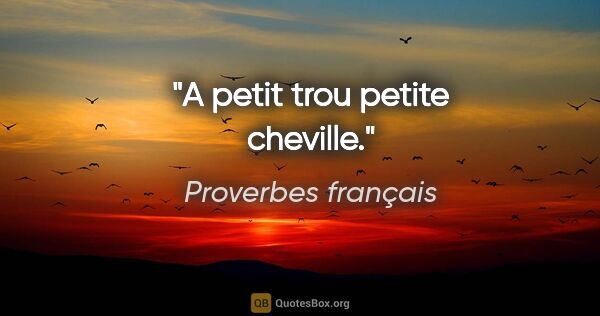 Proverbes français citation: "A petit trou petite cheville."