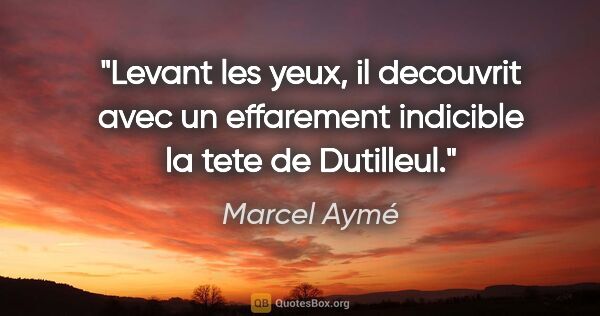 Marcel Aymé citation: "Levant les yeux, il decouvrit avec un effarement indicible la..."