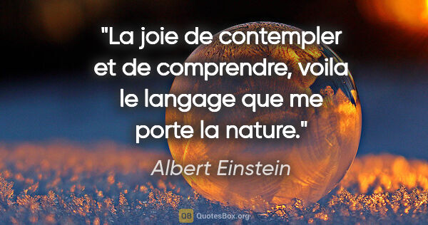 Albert Einstein citation: "La joie de contempler et de comprendre, voila le langage que..."