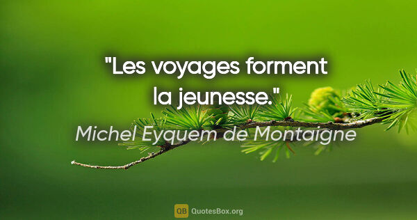Michel Eyquem de Montaigne citation: "Les voyages forment la jeunesse."
