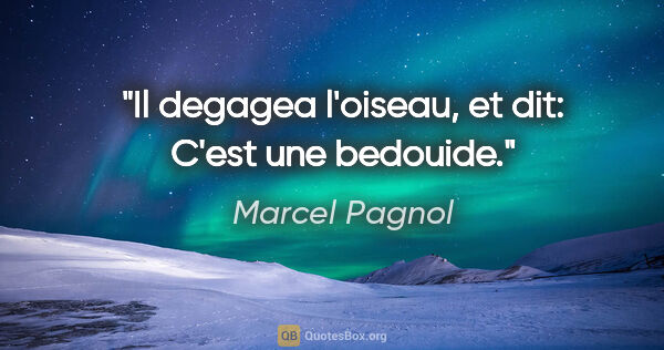 Marcel Pagnol citation: "Il degagea l'oiseau, et dit: «C'est une bedouide»."