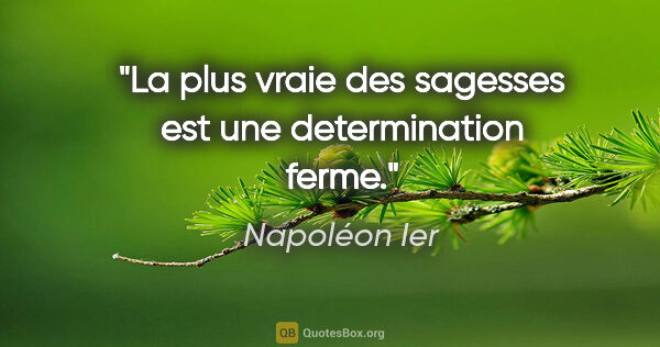 Napoléon Ier citation: "La plus vraie des sagesses est une determination ferme."