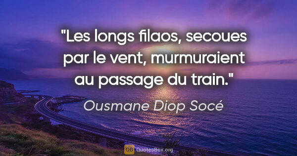 Ousmane Diop Socé citation: "Les longs filaos, secoues par le vent, murmuraient au passage..."