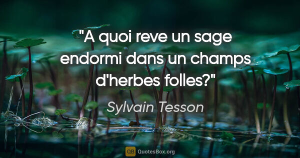 Sylvain Tesson citation: "A quoi reve un sage endormi dans un champs d'herbes folles?"