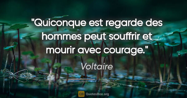 Voltaire citation: "Quiconque est regarde des hommes peut souffrir et mourir avec..."