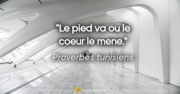 Proverbes tunisiens citation: "Le pied va ou le coeur le mene."