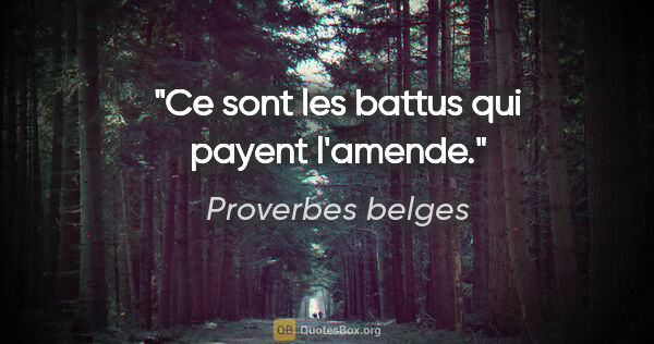 Proverbes belges citation: "Ce sont les battus qui payent l'amende."