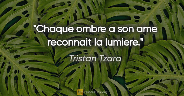 Tristan Tzara citation: "Chaque ombre a son ame reconnait la lumiere."