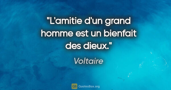 Voltaire citation: "L'amitie d'un grand homme est un bienfait des dieux."