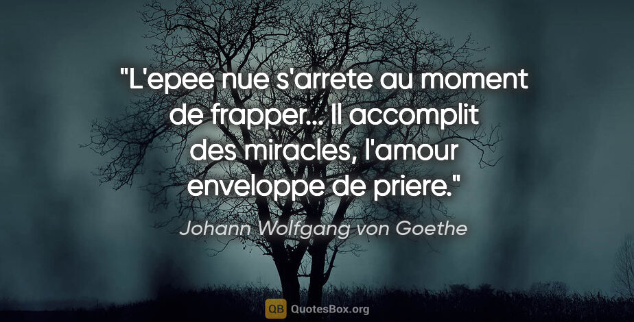 Johann Wolfgang von Goethe citation: "L'epee nue s'arrete au moment de frapper... Il accomplit des..."