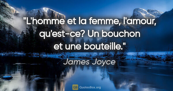 James Joyce citation: "L'homme et la femme, l'amour, qu'est-ce? Un bouchon et une..."