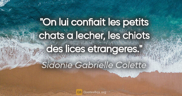 Sidonie Gabrielle Colette citation: "On lui confiait les petits chats a lecher, les chiots des..."
