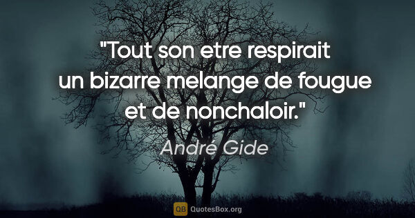 André Gide citation: "Tout son etre respirait un bizarre melange de fougue et de..."