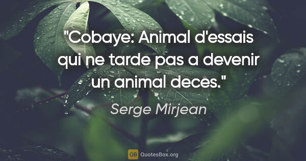 Serge Mirjean citation: "Cobaye: Animal d'essais qui ne tarde pas a devenir un animal..."