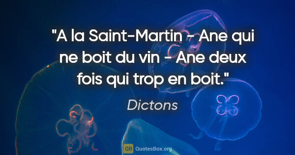 Dictons citation: "A la Saint-Martin - Ane qui ne boit du vin - Ane deux fois qui..."