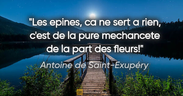 Antoine de Saint-Exupéry citation: "Les epines, ca ne sert a rien, c'est de la pure mechancete de..."