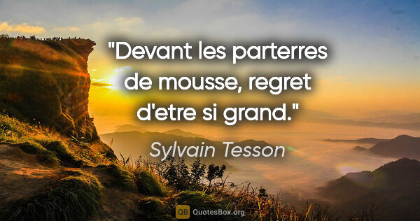 Sylvain Tesson citation: "Devant les parterres de mousse, regret d'etre si grand."