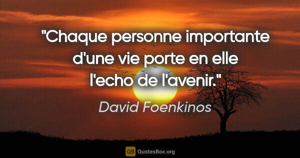 David Foenkinos citation: "Chaque personne importante d'une vie porte en elle l'echo de..."