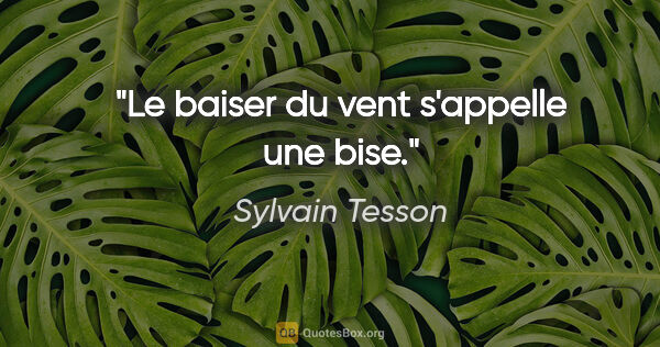Sylvain Tesson citation: "Le baiser du vent s'appelle une bise."