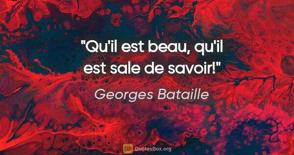 Georges Bataille citation: "Qu'il est beau, qu'il est sale de savoir!"