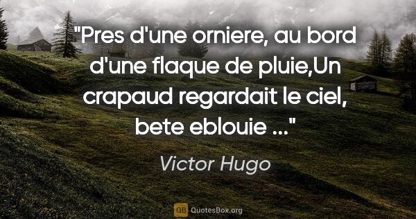 Victor Hugo citation: "Pres d'une orniere, au bord d'une flaque de pluie,Un crapaud..."