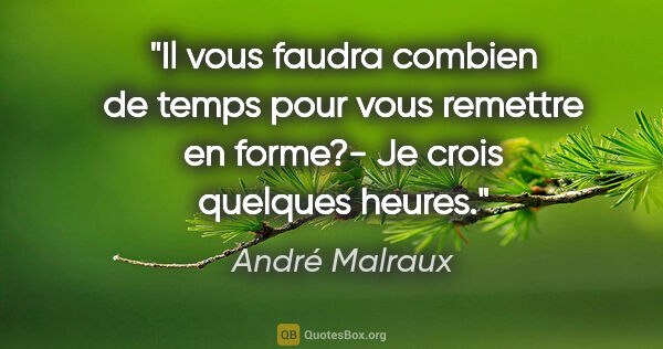 André Malraux citation: "Il vous faudra combien de temps pour vous remettre en forme?-..."