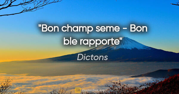 Dictons citation: "Bon champ seme - Bon ble rapporte"