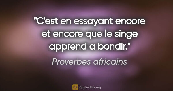 Proverbes africains citation: "C'est en essayant encore et encore que le singe apprend a bondir."