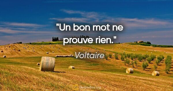 Voltaire citation: "Un bon mot ne prouve rien."