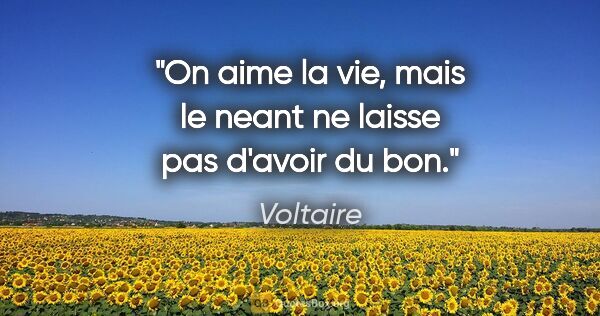 Voltaire citation: "On aime la vie, mais le neant ne laisse pas d'avoir du bon."