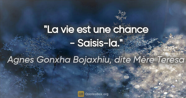 Agnes Gonxha Bojaxhiu, dite Mère Teresa citation: "La vie est une chance - Saisis-la."