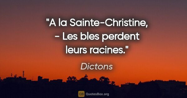 Dictons citation: "A la Sainte-Christine, - Les bles perdent leurs racines."