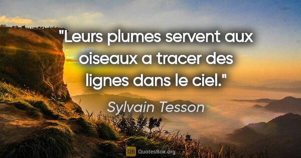Sylvain Tesson citation: "Leurs plumes servent aux oiseaux a tracer des lignes dans le..."