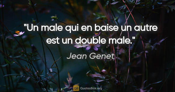Jean Genet citation: "Un male qui en baise un autre est un double male."
