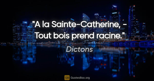 Dictons citation: "A la Sainte-Catherine, - Tout bois prend racine."
